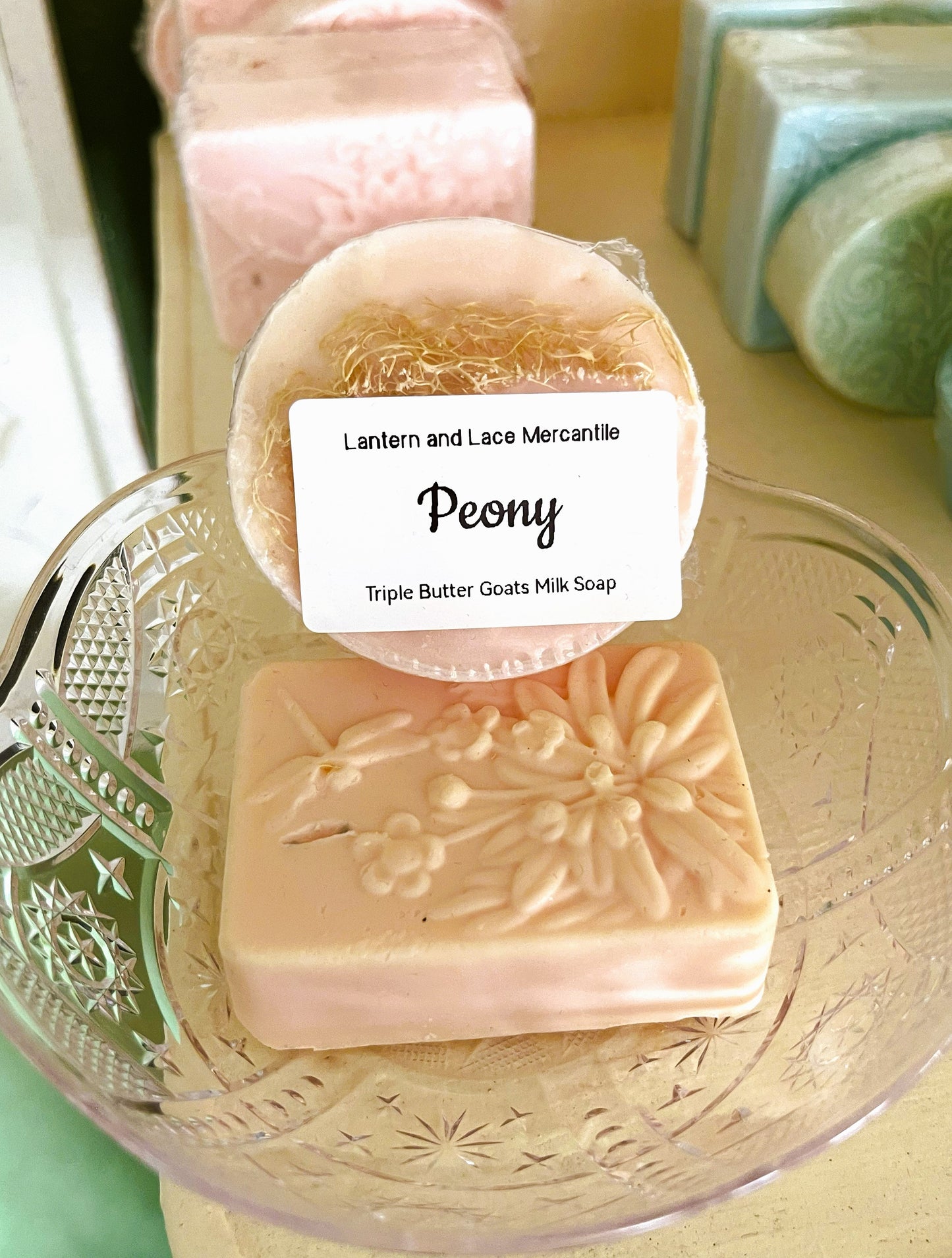 Alpha Gal Soap